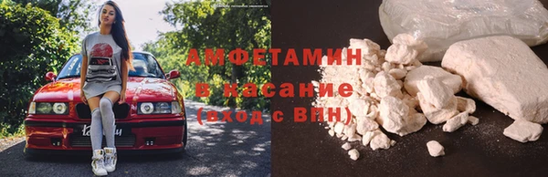 твердый Аркадак